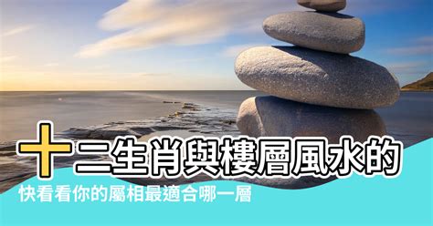 屬鼠的方位|如何選擇房子方位？8大風水方位與12生肖的完美結合，改變你的。